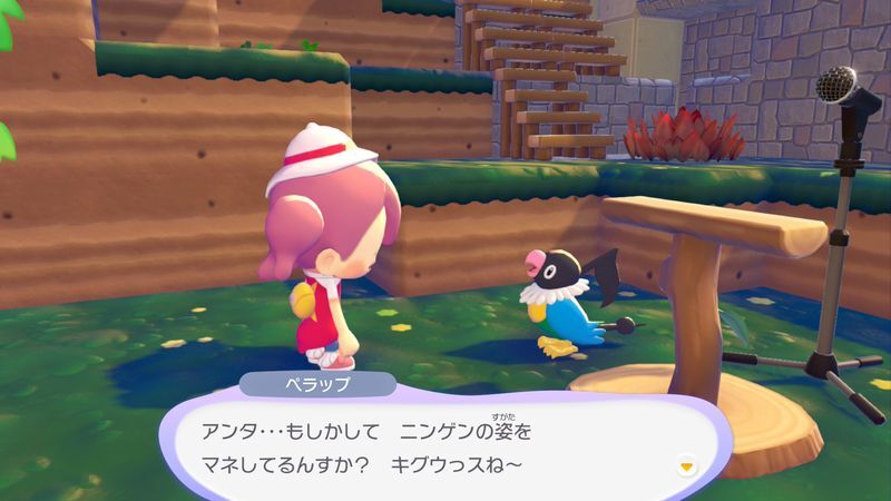 ペラップ出会い2