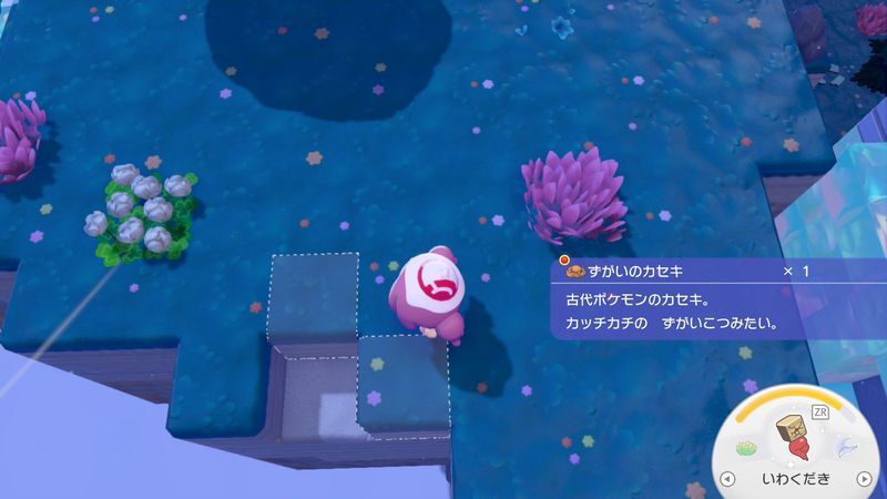 ずがいのカセキ入手2