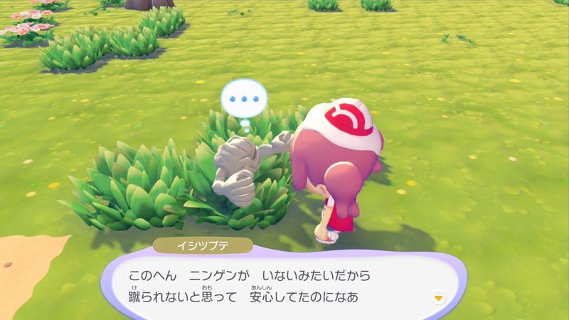 イシツブテ出会い2