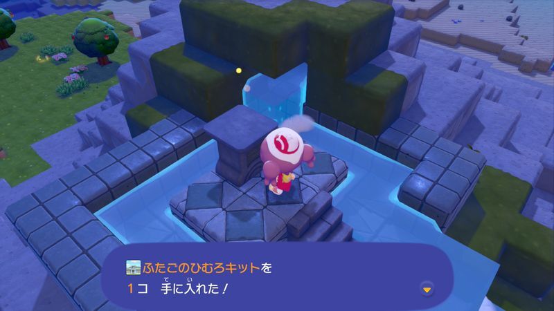 ふたごのひむろキット入手2