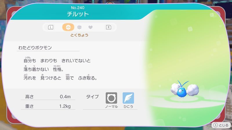チルット図鑑