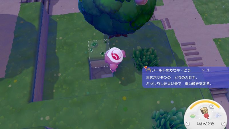 シールドのカセキ・どう入手2