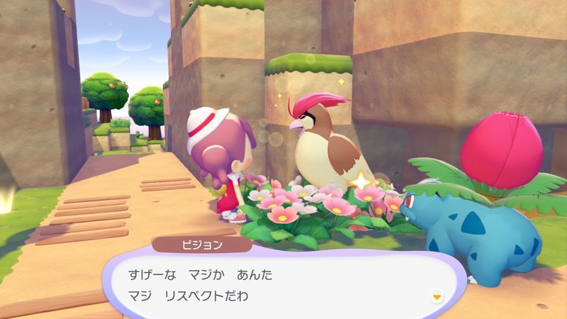 ピジョン出会い3