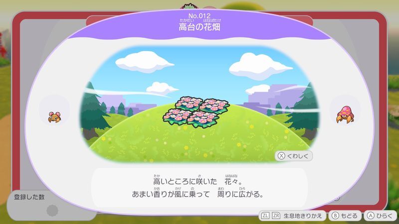 高台の花畑