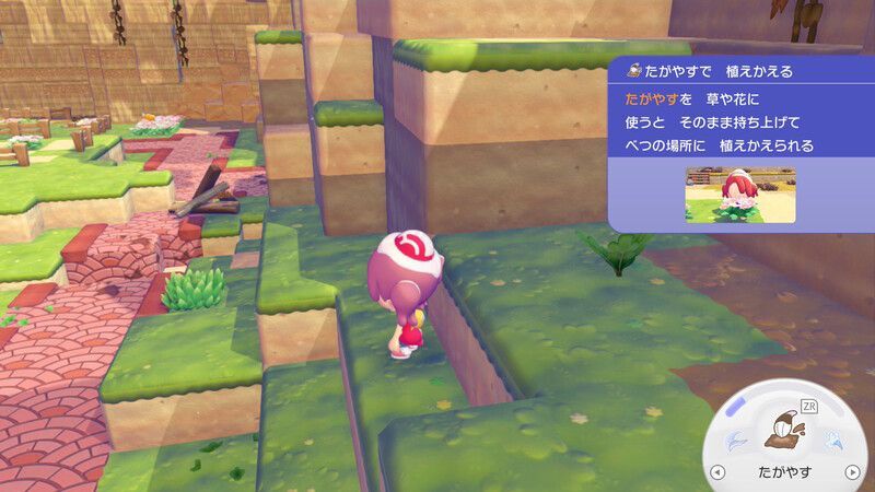 はらっぱのはなをあげよう！9