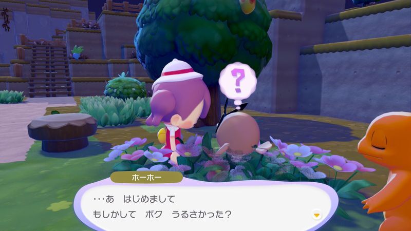 ホーホー出会い2