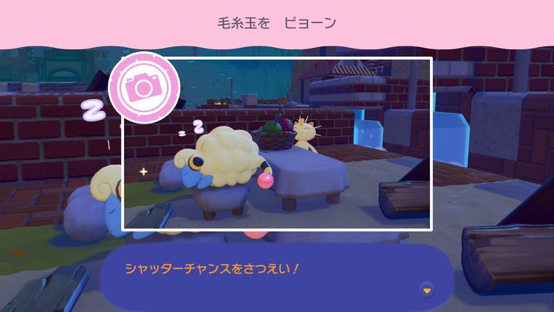 毛糸玉を　ピョーン