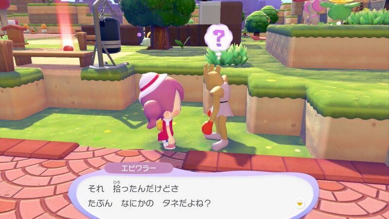 マメを育てよう！6