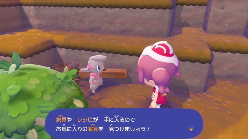 ポケモンに　話しかけよう！（ドッコラー）10