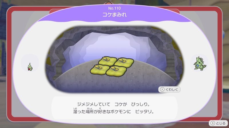 コケまみれ