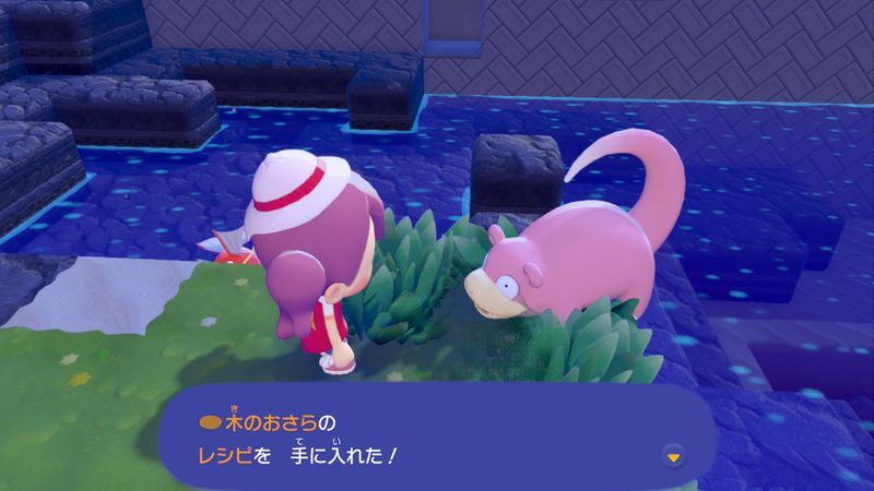 木のおさらのレシピ入手2