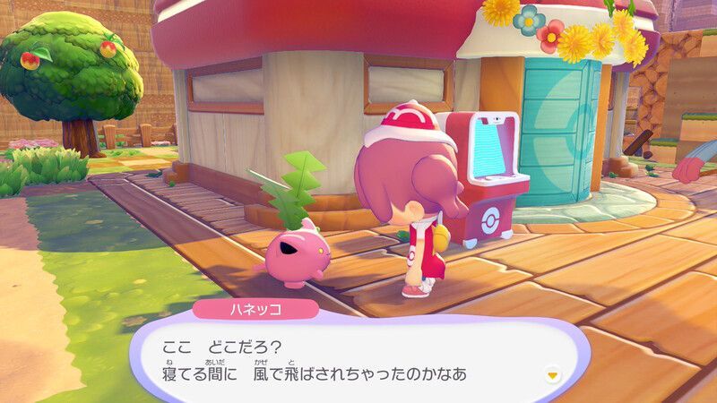 ハネッコ出会い2