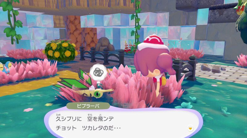 ビブラーバ出会い2