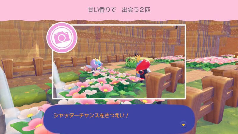 甘い香りで　出会う２匹