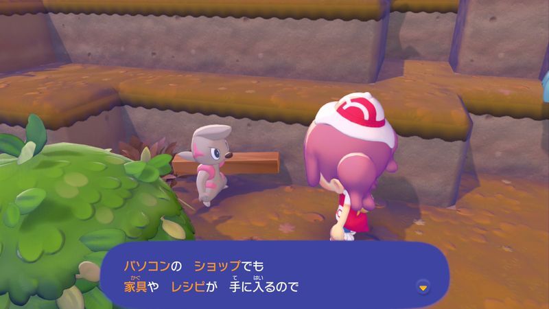 ポケモンに　話しかけよう！（ドッコラー）9