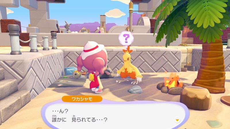 ワカシャモ出会い3