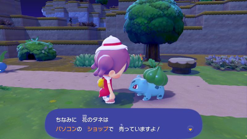 花畑に連れていこう！11