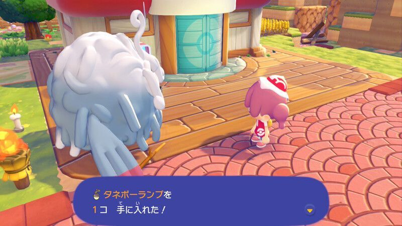 タネボーランプ鑑定2