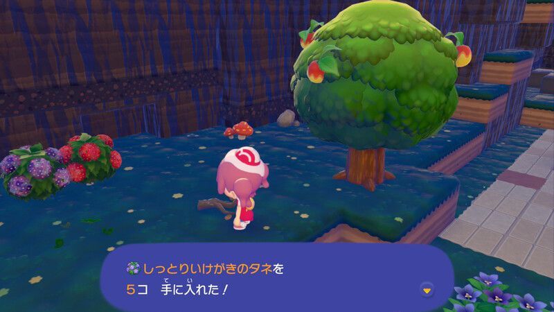 しっとりいけがきのタネ入手2
