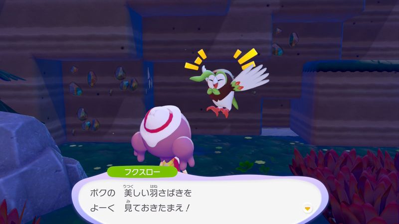 とまり木を置こう！19