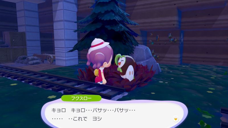 フクスロー出会い1