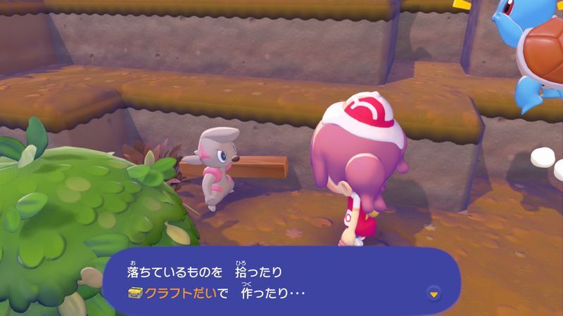 ポケモンに　話しかけよう！（ドッコラー）8