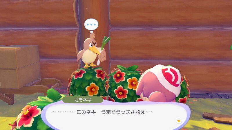 カモネギ出会い6