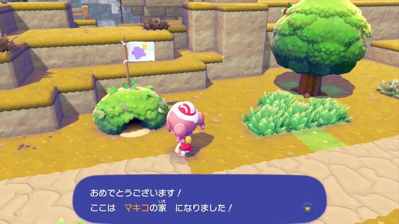 メタモンのはたを置こう！4