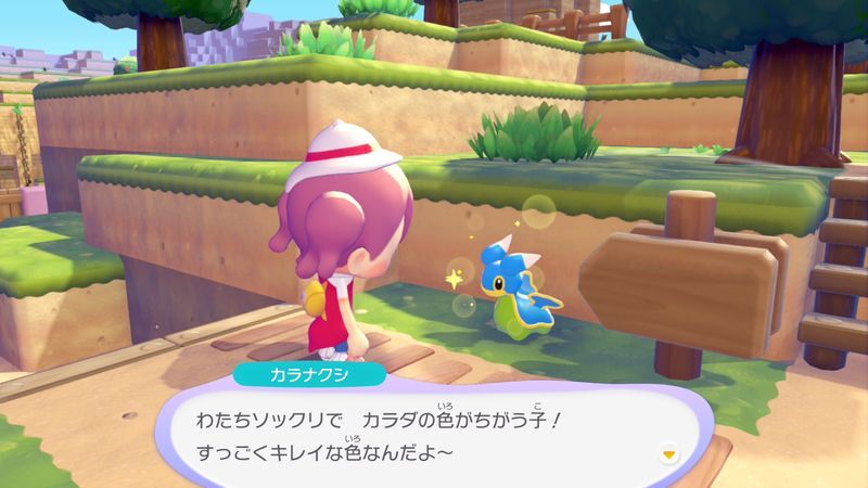 カラナクシ（ひがしのうみ）出会い3