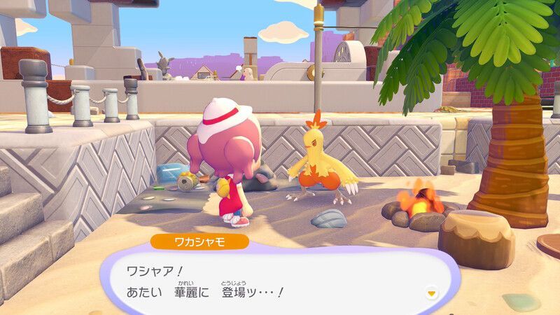 ワカシャモ出会い2