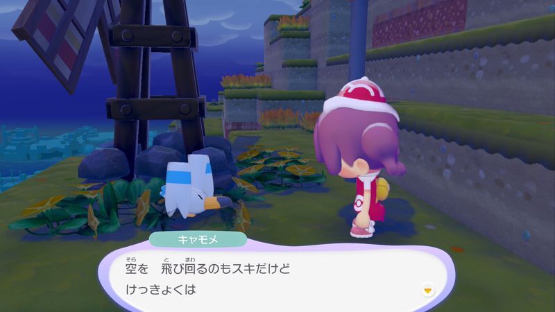キャモメ出会い2
