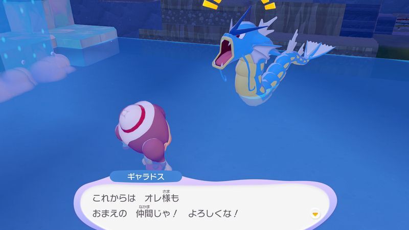 ギャラドス出会い8