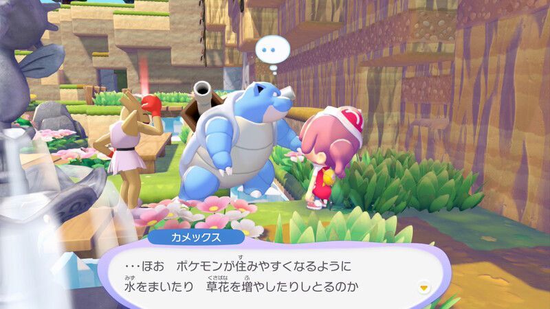 カメックス出会い3