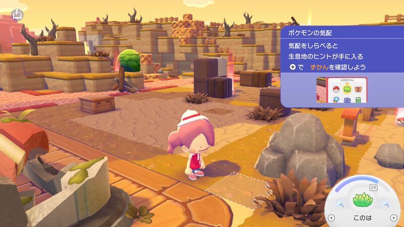 ポケモンの気配9