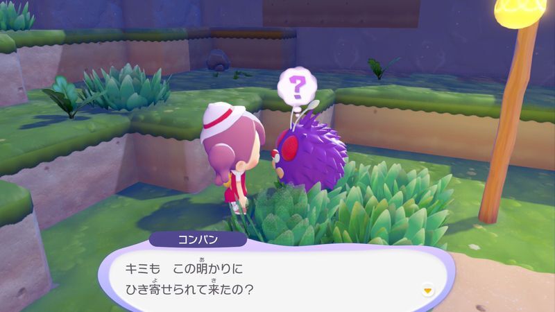 コンパン出会い2