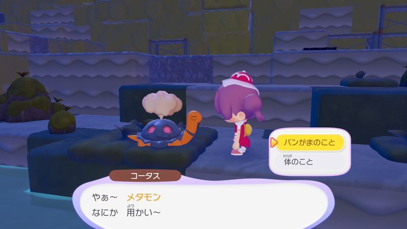 道をキレイにしよう！（やま）4