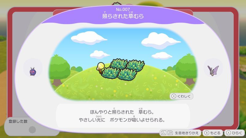 照らされた草むら