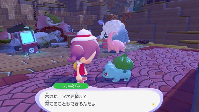 周りの木に水をあげよう！7