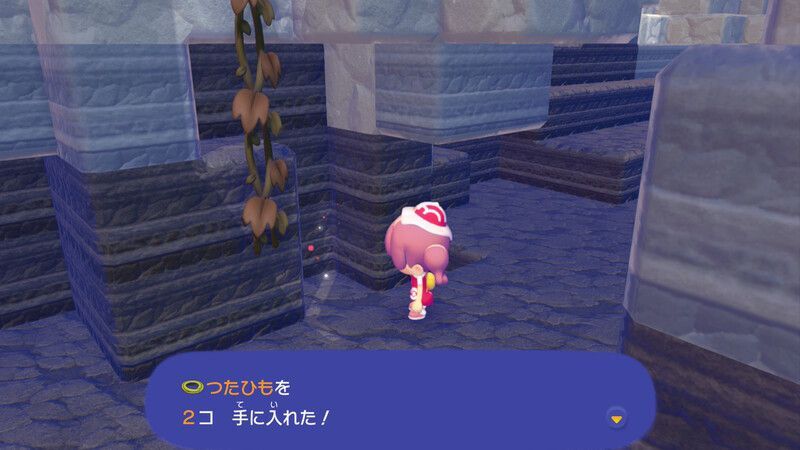 つたひも入手2