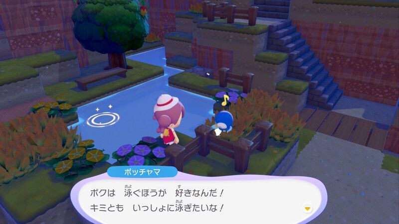 ポッチャマ出会い4