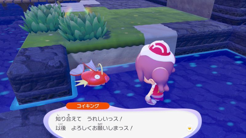 コイキング出会い4