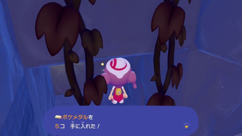 ポケメタル入手8