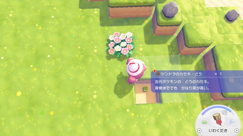 ツンドラのカセキ・どう入手2