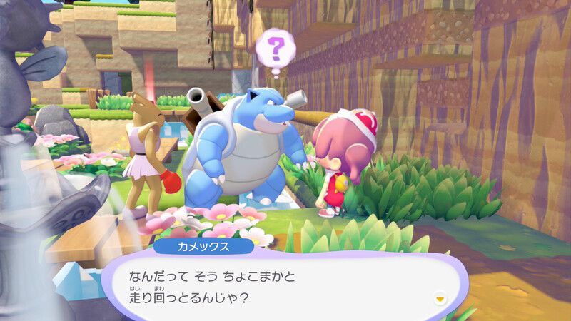 カメックス出会い2