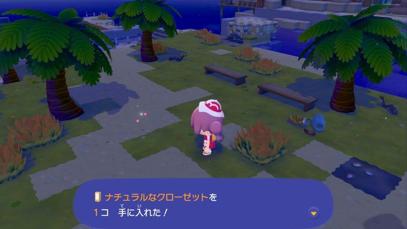 ナチュラルなクローゼット入手2