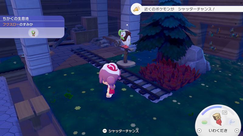 シャッターチャンス
