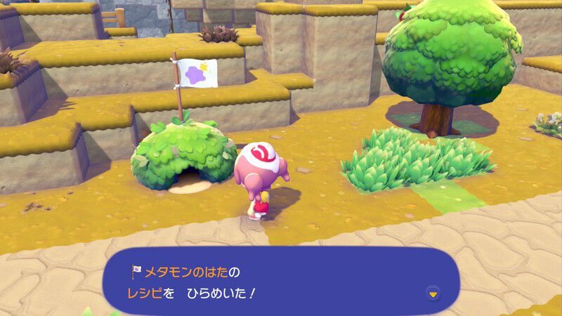 メタモンのはたのレシピ入手