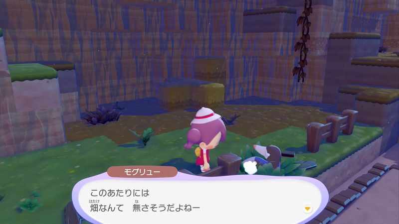 すみかを作っててあげよう！（モグリュー）7
