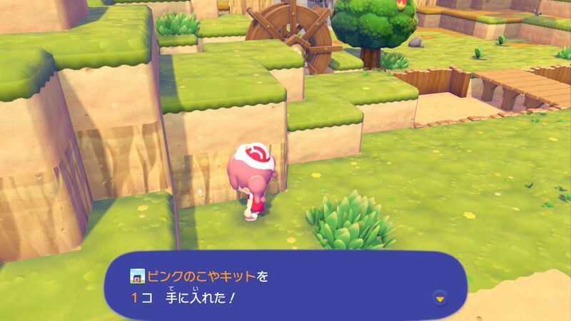 ピンクのこやキット入手2