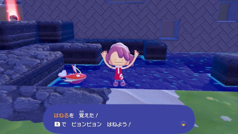 すみかを作っててあげよう！（コイキング）15